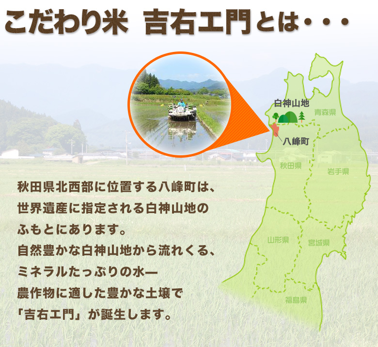 こだわり米 吉右エ門(きちえもん)とは・秋田県北西部に位置する八峰町は、世界遺産に指定される白神山地のふもとにあります。自然豊かな白神山地から流れくる、ミネラルたっぷりの水—農作物に適した豊かな土壌で「吉右エ門」が誕生します。