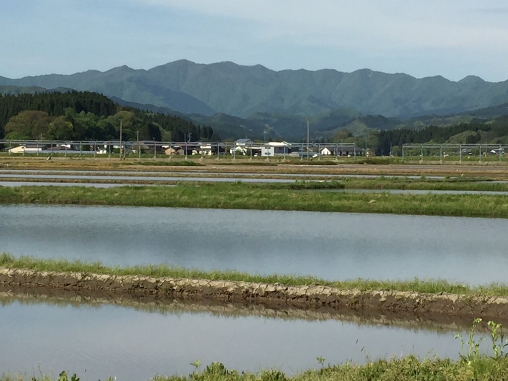 風景