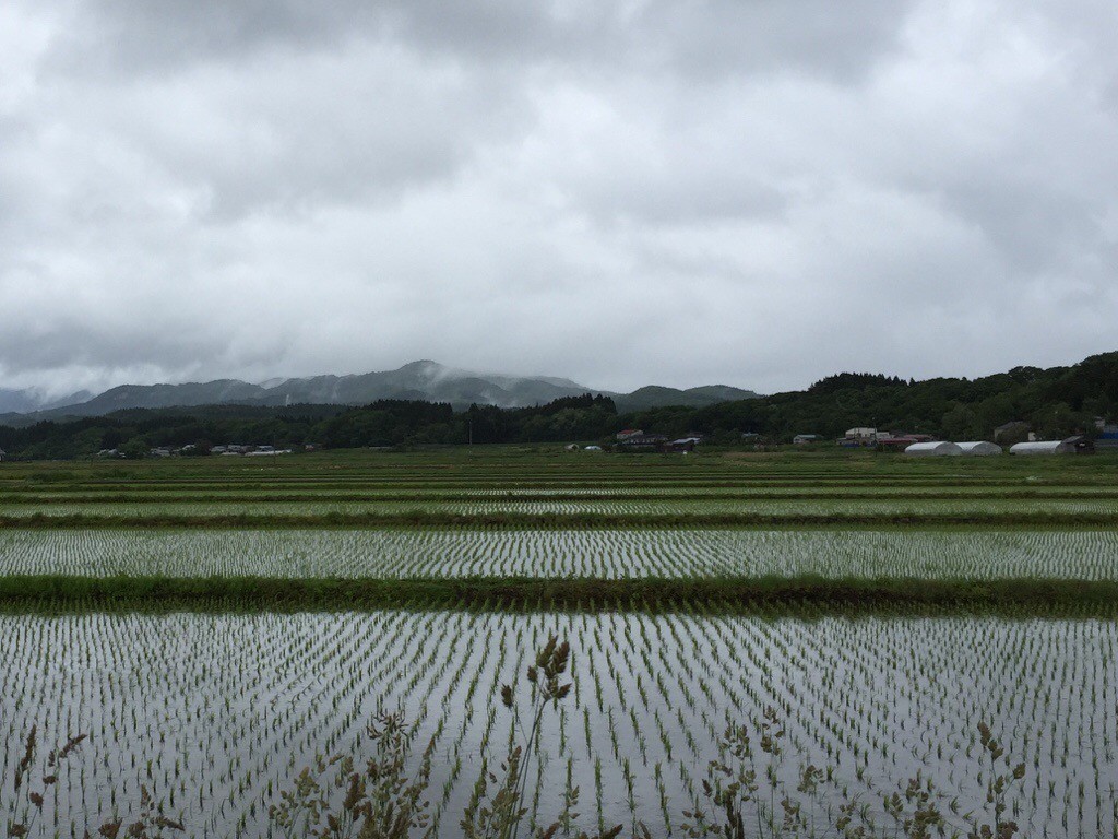 6月 雨で気温も下がり…