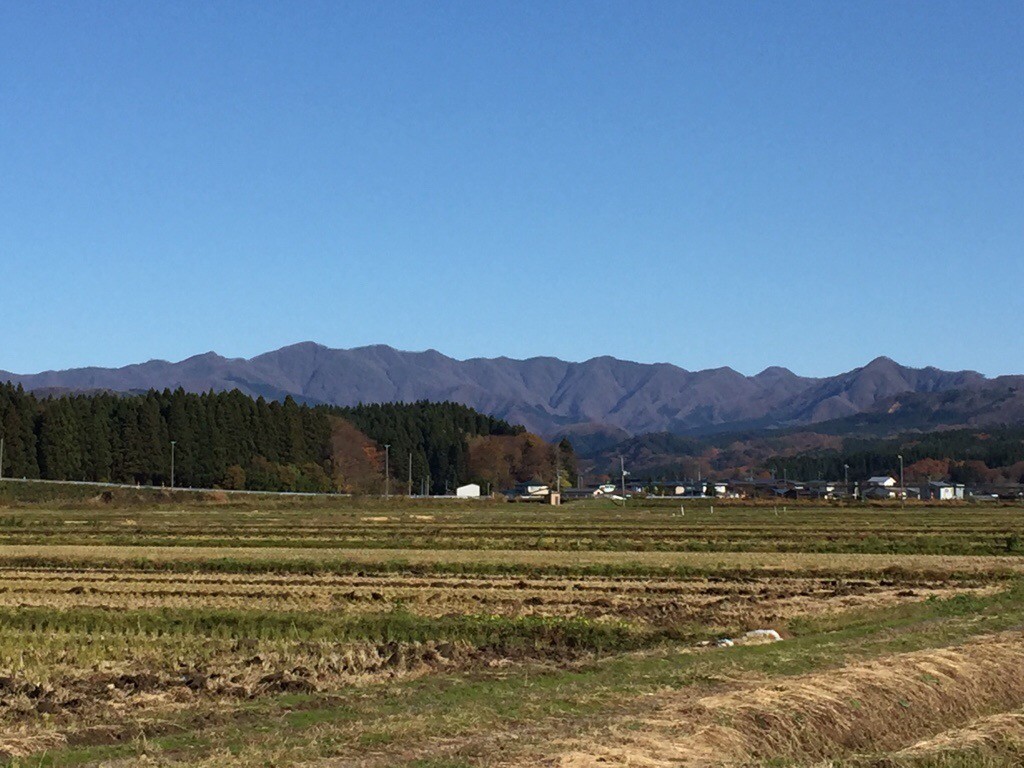 お天気 と 大豆の刈取り 白神ファーム