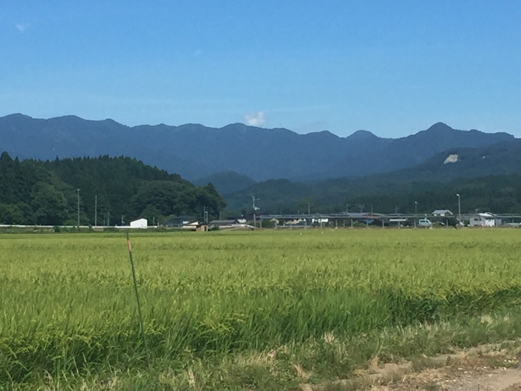 秋田県内最高気温