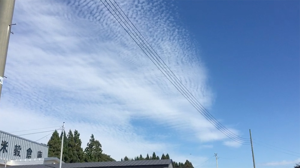 今日の空の様子