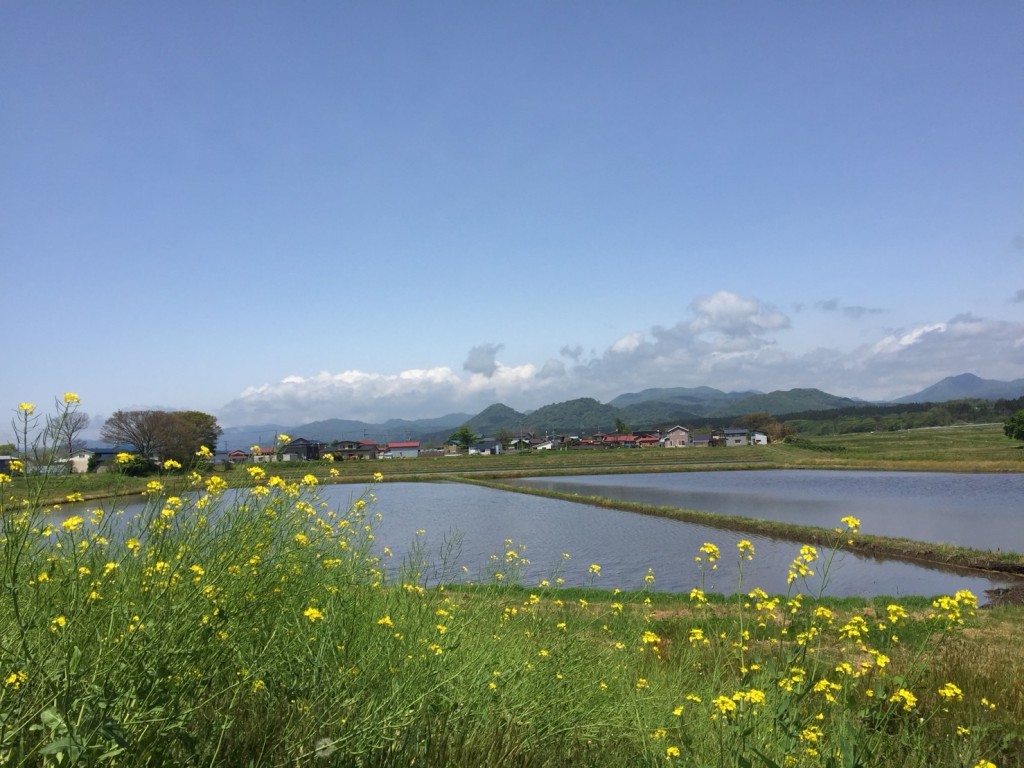 快晴の空