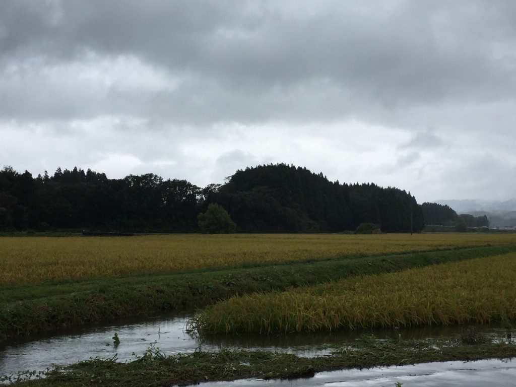 大雨の翌日